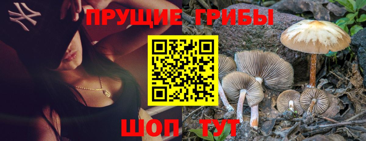 Псилоцибиновые грибы мухоморы  Вход с VPN  Заринск 